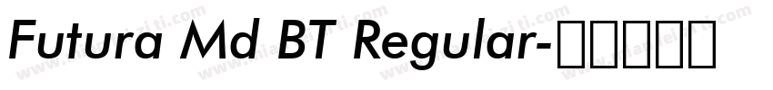Futura Md BT Regular字体转换